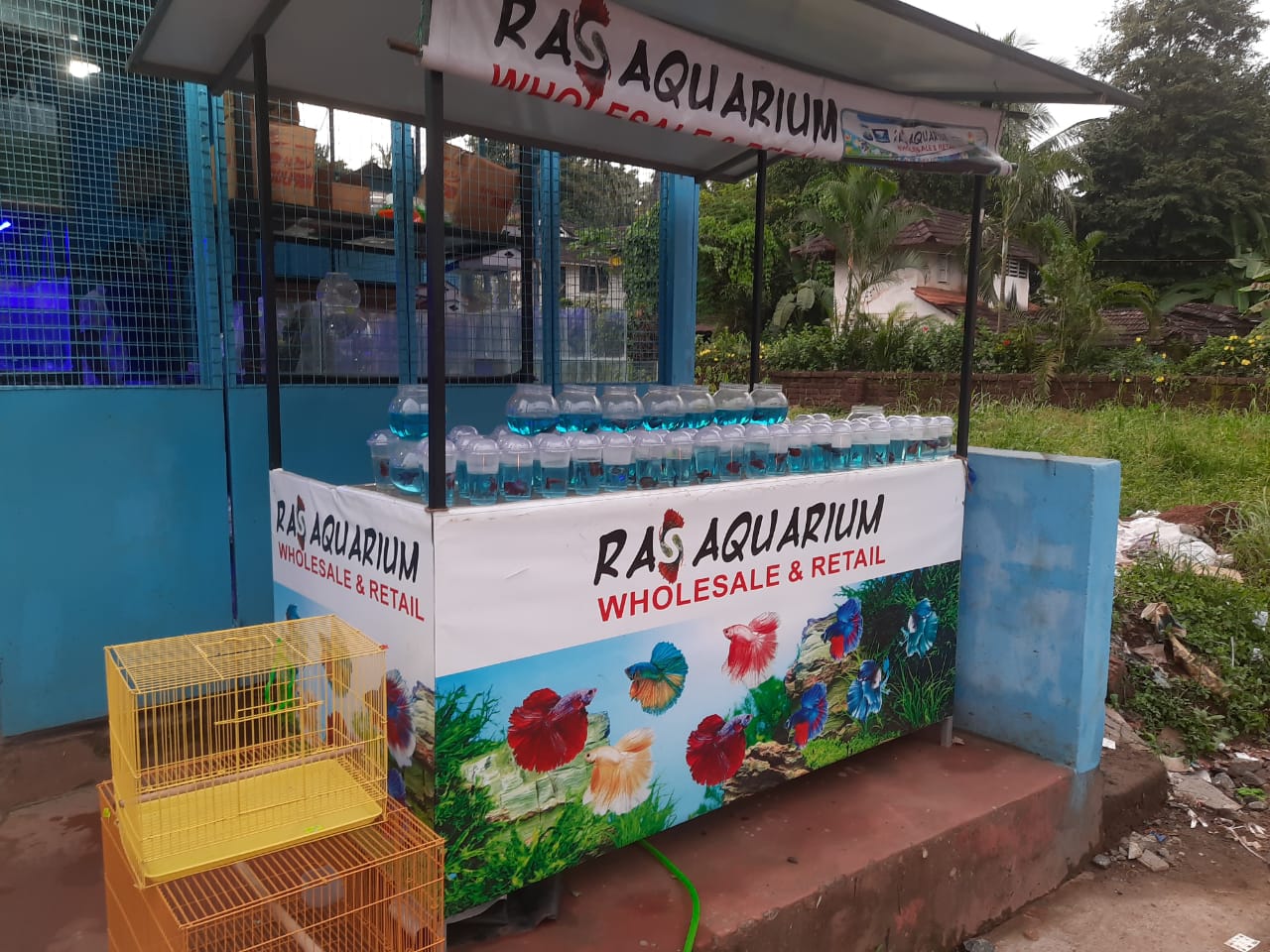 RAS AQUARIUM & PETS
